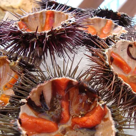 Otel Lo Scoglio Marina del Cantone